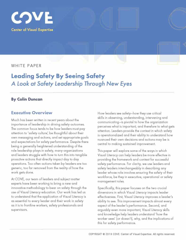 WP-Leading-Safety-by-Seeing-Safety-V.1.0_Page_1