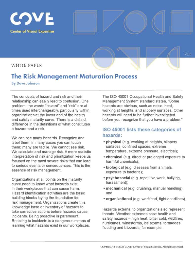 White Paper - The risk management maturation process_Page_1